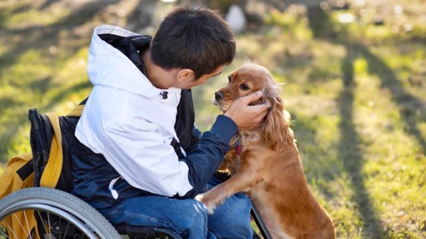 Empresa oferece até R$ 5 mil por hora para cheirar e “beijar” cães