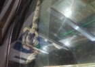 Homem leva susto ao encontrar jiboia escondida dentro do painel do carro