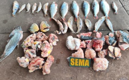 Operação apreende peixes proibidos, espingardas e munições em área rural