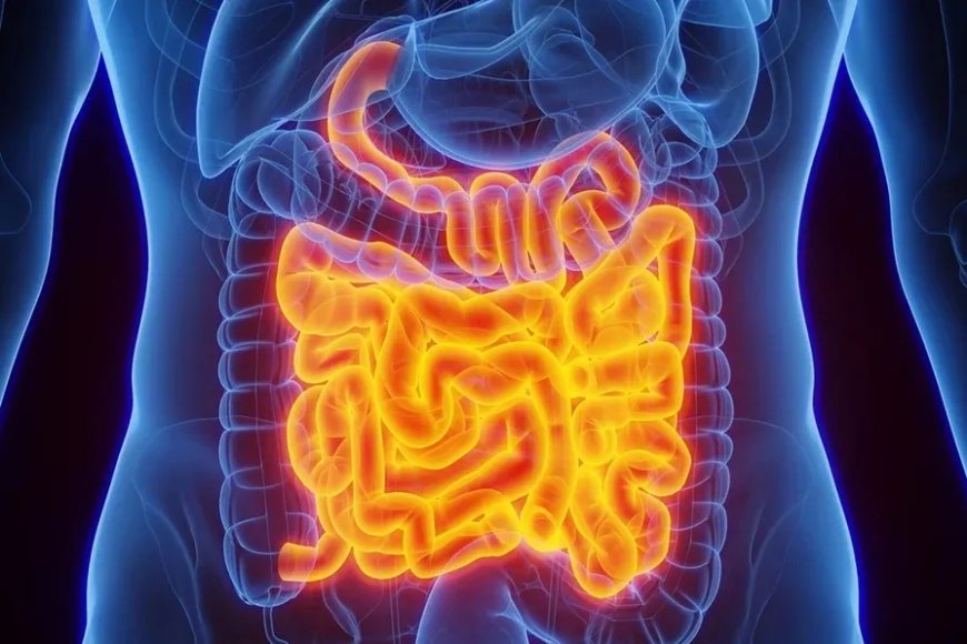 Câncer de intestino: saiba quais são os principais sintomas da doença