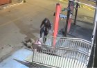 Adolescente foge após agredir homem desacordado com “pisões” na cabeça