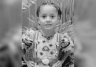 Menina de 6 anos morre após ser baleada pelo próprio irmão, de 12 anos