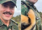 Filhote de tamanduá-mirim escolhe colete de tenente da PM como abrigo e pega no sono
