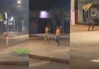Invasão na madrugada: Homem pelado invade casa, tenta atacar idosa e acaba contido por vizinhos