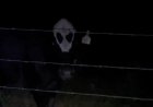 'Vaca alienígena' causa espanto ao ser iluminada em zona rural