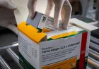 Tomou a vacina contra a dengue do Butantan? Saiba o que fazer