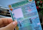 CNH Social: Como conseguir a carteira de motorista 100% gratuita