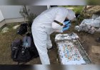 Médica é presa após descoberta de 34 fetos enterrados
