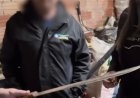 Homem confessa ter matado gato com facão após animal matar seu passarinho de estimação