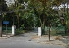 Mãe súplica por amor antes de ser decapitada pelo próprio filho em apartamento