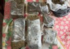 PF prende avó que usava neto de 13 anos no tráfico de drogas