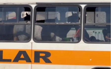 Produtor rural usa ônibus de estudantes para carregar cavalos em vaquejada