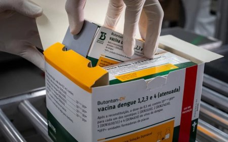 Tomou a vacina contra a dengue do Butantan? Saiba o que fazer