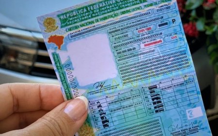 CNH Social: Como conseguir a carteira de motorista 100% gratuita