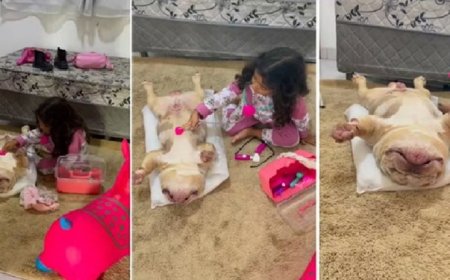 Veterinária mirim faz sucesso nas redes “tratando” cachorro amigo: “Anestesia forte”