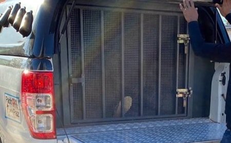 Criança de 4 anos chega na escola com cortes pelo corpo e padrasto acaba preso