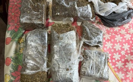 PF prende avó que usava neto de 13 anos no tráfico de drogas