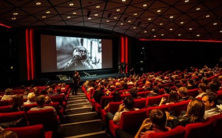 Adolescentes são flagrados fazendo sexo em cinema