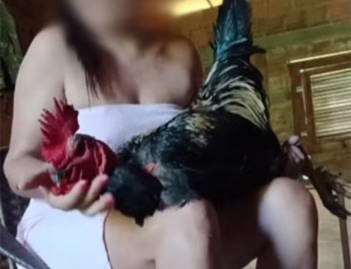 Mulher é presa suspeita de torturar, matar animais e vender vídeos das agressões pela internet