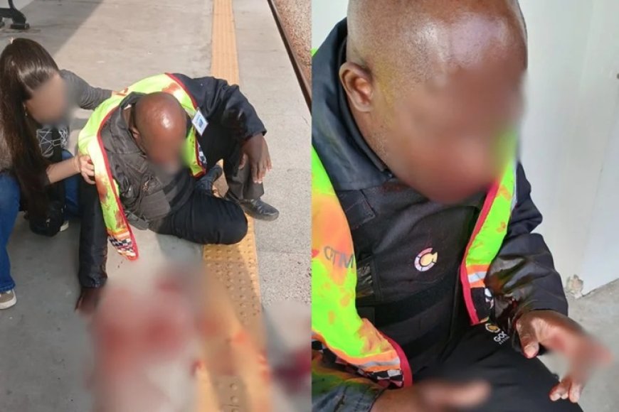 Grupo de ambulantes agride seguranças em estação de trem