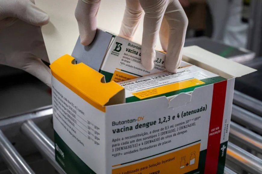Tomou a vacina contra a dengue do Butantan? Saiba o que fazer
