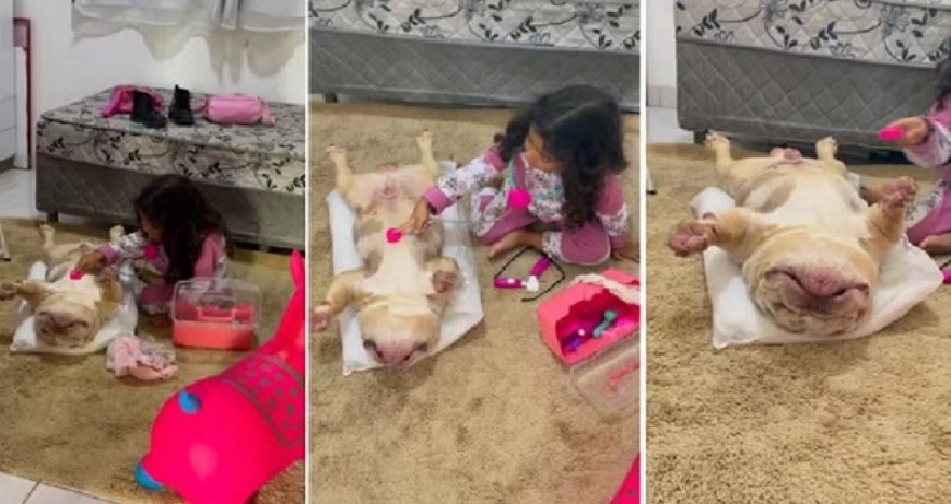 Veterinária mirim faz sucesso nas redes “tratando” cachorro amigo: “Anestesia forte”
