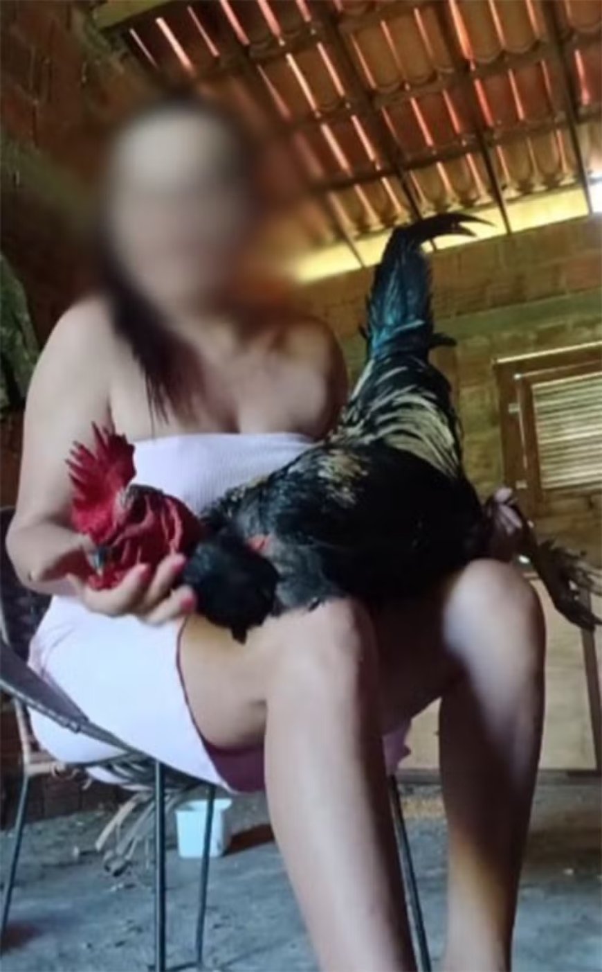 Mulher é presa suspeita de torturar, matar animais e vender vídeos das agressões pela internet