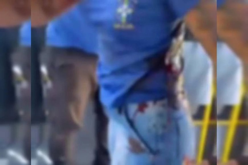 Mulher é esfaqueada dentro de ônibus; suspeita grava vítima ferida e confessa ataque