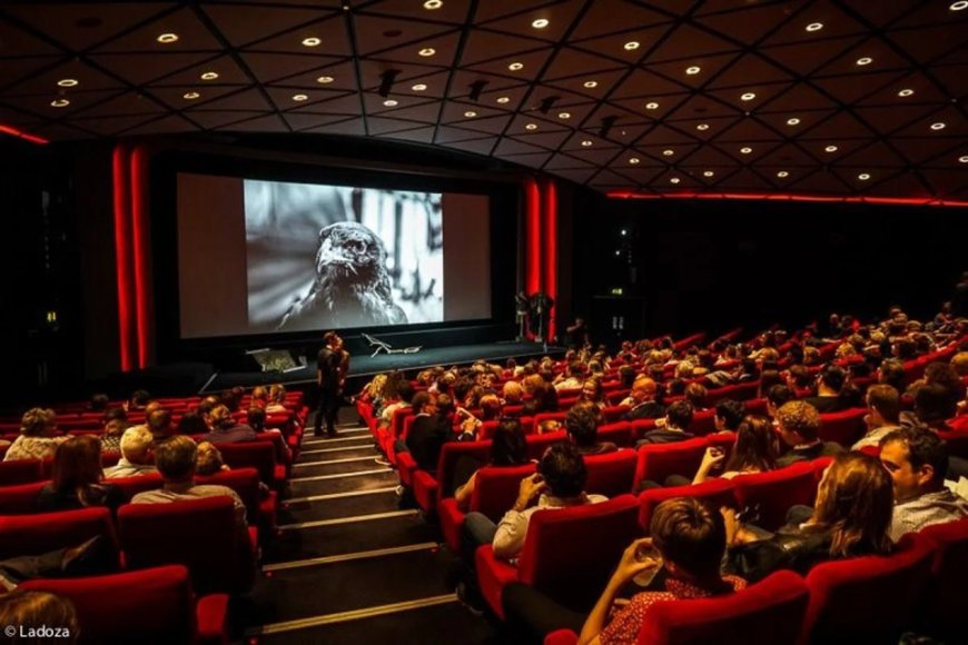 Adolescentes são flagrados fazendo sexo em cinema