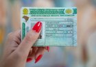 Estas multas podem fazer você perder a CNH; veja a lista completa