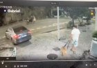 Homem é denunciado por matar o próprio cão afogado no mar