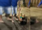 Vídeo: duas mulheres desmaiam após PM usar spray de pimenta para conter briga em bar