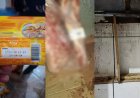 Força-Tarefa apreende 2,2 toneladas de comida podre e vencida há 4 anos em mercado após denuncia