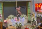 Velório vira palco de show de pole dance e cena entre os caixões deixa a internet em choque