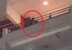 Casal é flagrado em momento íntimo no alto de prédio e vídeo viraliza