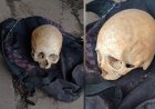 Crânio humano é encontrado em parada de ônibus