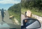 Cena inusitada: caixão abandonado na beira da estrada viraliza nas redes