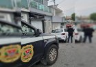 Mulher tem rosto dilacerado, morre e filha culpa filhotes de cachorro