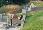 Casal é flagrado fazendo sexo em cima de túmulo em cemitério; veja vídeo