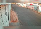 Homem mata gato a pauladas: “Defecava perto da cozinha”