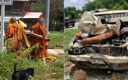 Criança de 11 anos pega caminhonete e atropela peregrinação; oito monges morrem