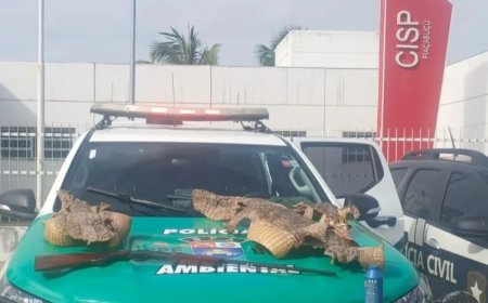 Polícia encontra espingarda e peles de três jacarés durante operação em Alagoas