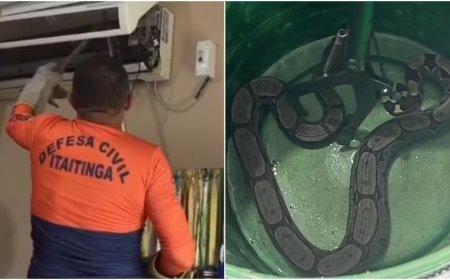 Jiboia é resgatada dentro de aparelho de ar-condicionado