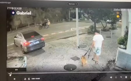 Homem é denunciado por matar o próprio cão afogado no mar