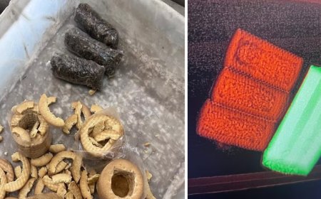 Mulher é presa ao esconder maconha dentro de bolachas para entrar em presídio