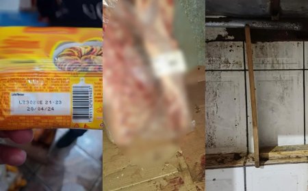 Força-Tarefa apreende 2,2 toneladas de comida podre e vencida há 4 anos em mercado após denuncia