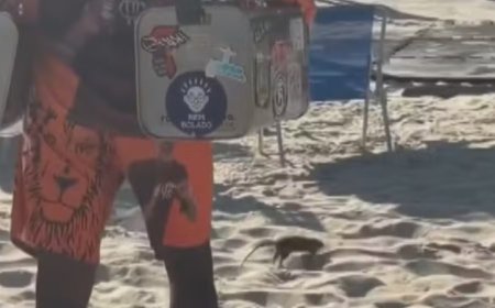 VÍDEO || Até o rato resolveu curtir o sol, roedor ‘passeia’ entre banhistas nas areias do Leblon