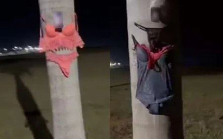 Fotos íntimas e peças de lingerie são encontradas espalhadas em rua; polícia investiga quem está por trás do caso