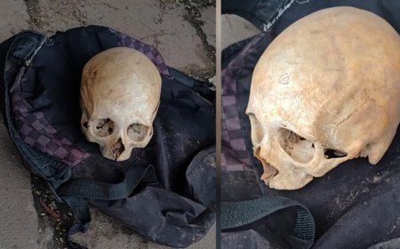 Crânio humano é encontrado em parada de ônibus