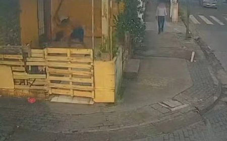 Homem em situação de rua é morto a pauladas dormindo e vídeo flagra crime